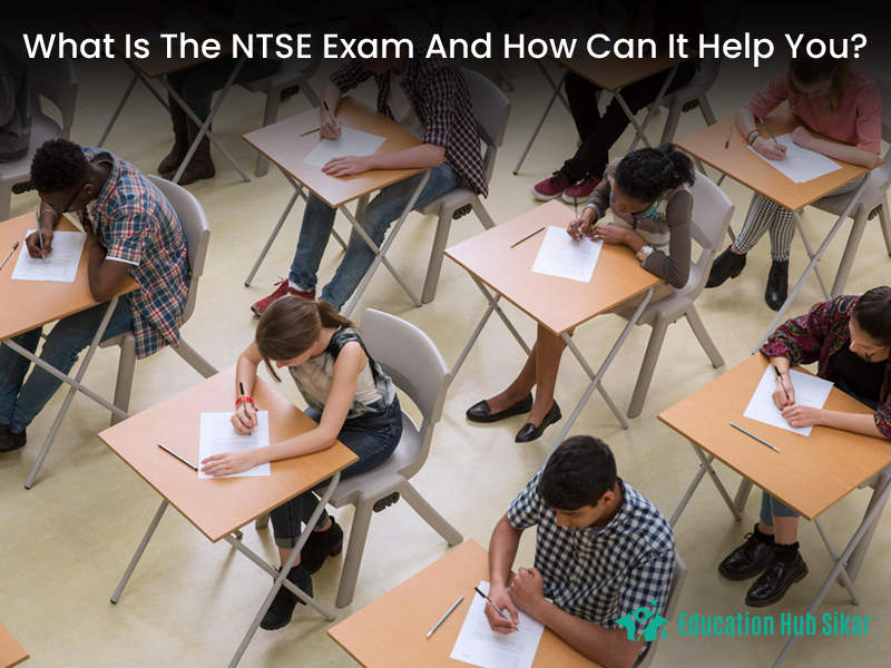 What Is The NTSE Exam And How Can It Help You?